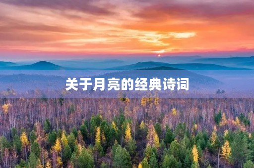 关于月亮的经典诗词(关于月亮的经典诗词4句)