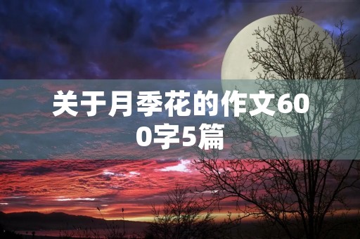 关于月季花的作文600字5篇 关于月季花的作文600字5篇