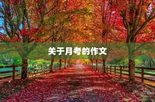 关于月考的作文 关于月考的作文