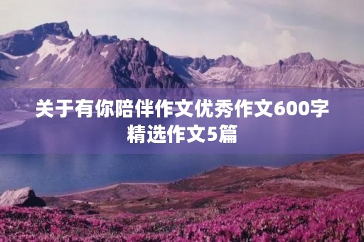 关于有你陪伴作文优秀作文600字精选作文5篇