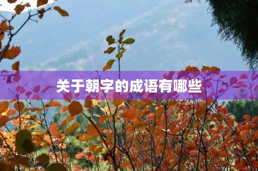 关于朝字的成语有哪些