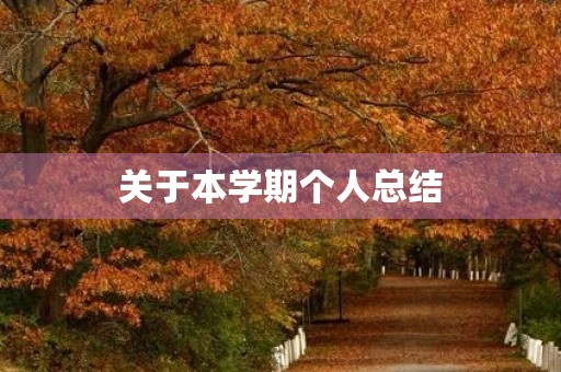 关于本学期个人总结