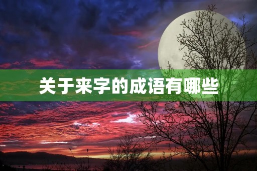 关于来字的成语有哪些