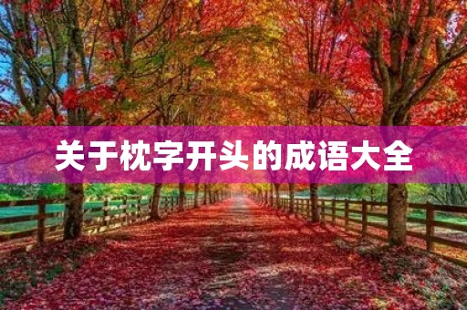关于枕字开头的成语大全
