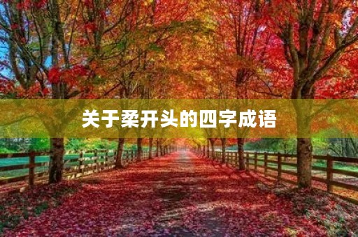 关于柔开头的四字成语
