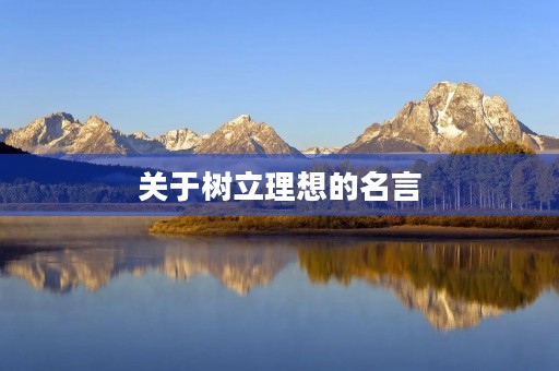 关于树立理想的名言(关于树立理想的名言警句)