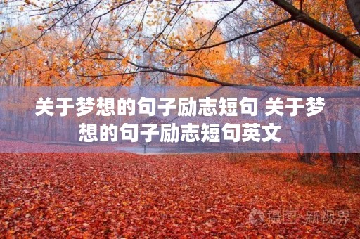 关于梦想的句子励志短句 关于梦想的句子励志短句英文 关于梦想的句子励志短句 关于梦想的句子励志短句英文