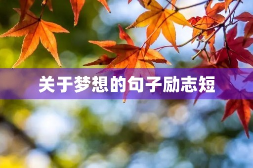 关于梦想的句子励志短，关于梦想的句子励志短8字内
