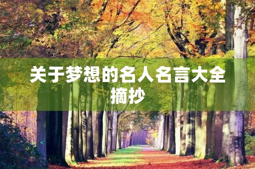 关于梦想的名人名言大全摘抄(关于梦想的名人名言大全摘抄100字)