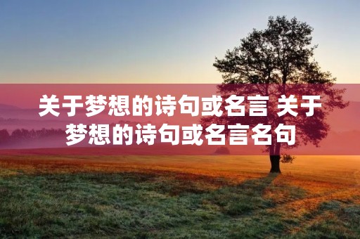 关于梦想的诗句或名言 关于梦想的诗句或名言名句 关于梦想的诗句或名言 关于梦想的诗句或名言名句