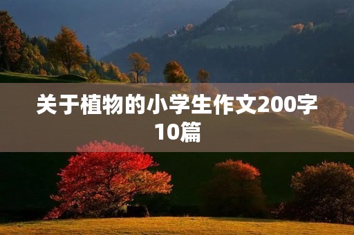 关于植物的小学生作文200字10篇