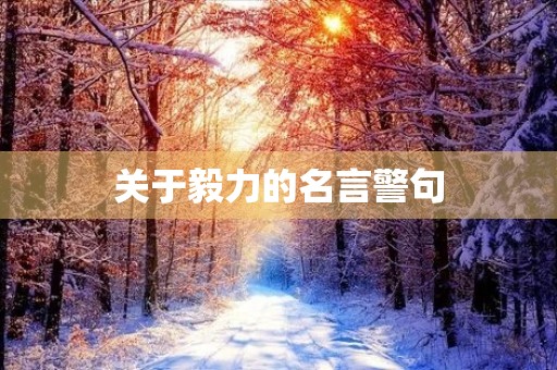 关于毅力的名言警句(关于毅力的名言警句100句)