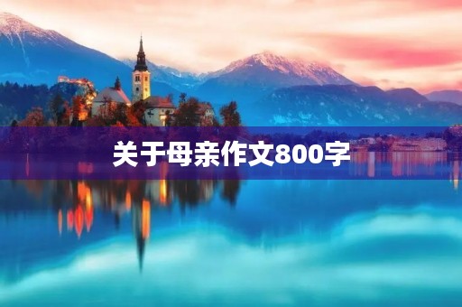 关于母亲作文800字 关于母亲作文800字