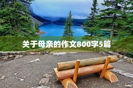 关于母亲的作文800字5篇
