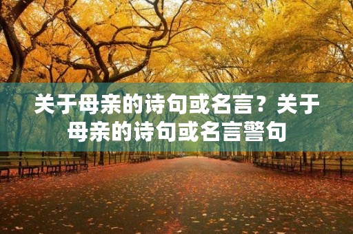 关于母亲的诗句或名言？关于母亲的诗句或名言警句