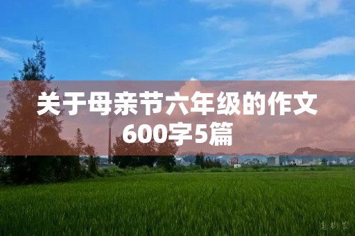 关于母亲节六年级的作文600字5篇