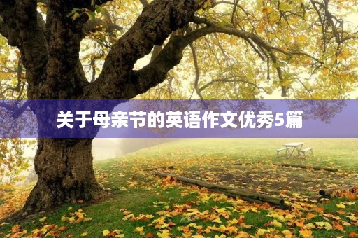 关于母亲节的英语作文优秀5篇 关于母亲节的英语作文优秀5篇