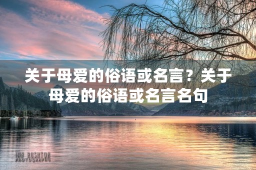 关于母爱的俗语或名言？关于母爱的俗语或名言名句