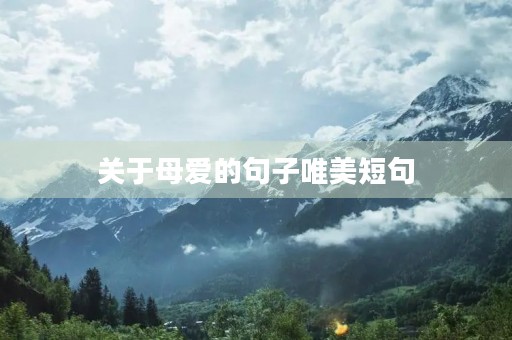关于母爱的句子唯美短句(关于母爱的句子唯美短句摘抄) 关于母爱的句子唯美短句(关于母爱的句子唯美短句摘抄)