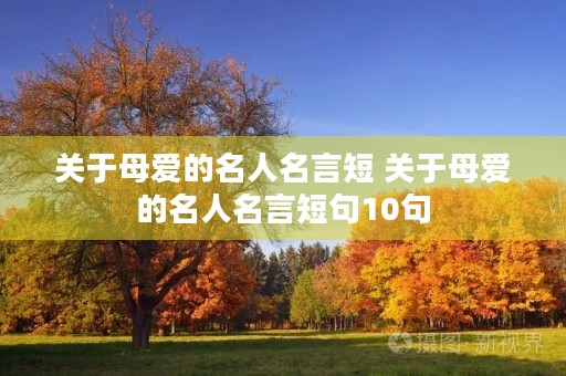 关于母爱的名人名言短 关于母爱的名人名言短句10句