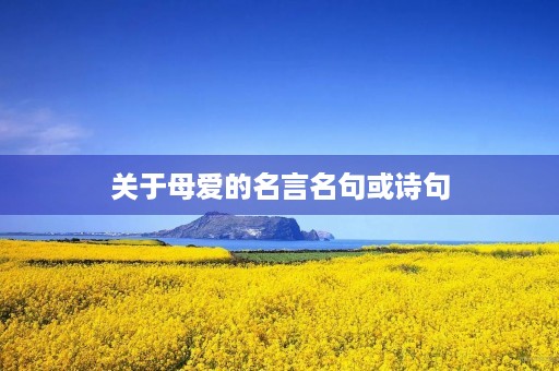关于母爱的名言名句或诗句，关于母爱的名言名句50字