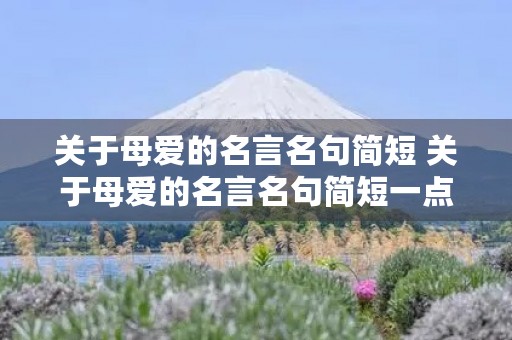 关于母爱的名言名句简短 关于母爱的名言名句简短一点 关于母爱的名言名句简短 关于母爱的名言名句简短一点