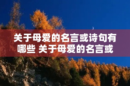 关于母爱的名言或诗句有哪些 关于母爱的名言或诗句有哪些四年级 关于母爱的名言或诗句有哪些 关于母爱的名言或诗句有哪些四年级