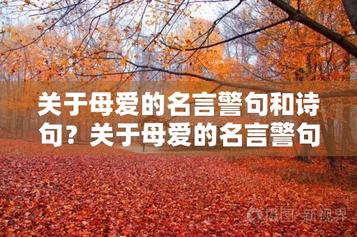 关于母爱的名言警句和诗句?关于母爱的名言警句和诗句大全 关于母爱的名言警句和诗句?关于母爱的名言警句和诗句大全