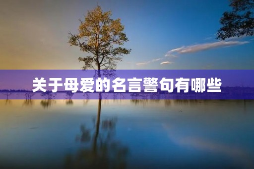 关于母爱的名言警句有哪些(关于母爱的名言警句有哪些写出五个) 关于母爱的名言警句有哪些(关于母爱的名言警句有哪些写出五个)