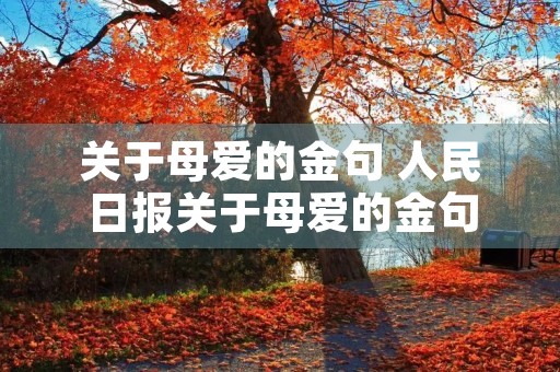 关于母爱的金句 人民日报关于母爱的金句