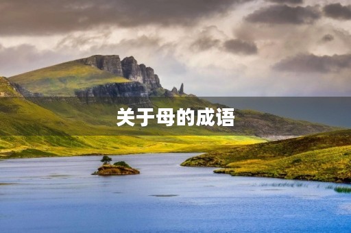 关于母的成语