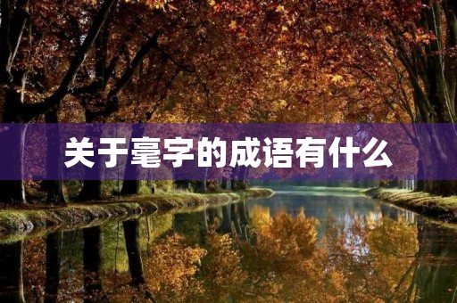关于毫字的成语有什么 关于毫字的成语有什么