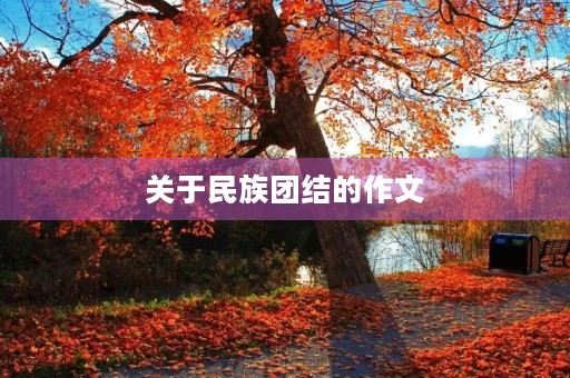 关于民族团结的作文 关于民族团结的作文