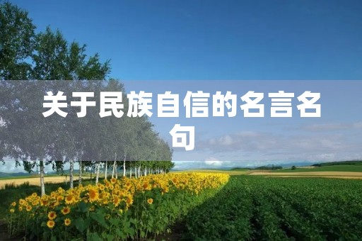 关于民族自信的名言名句,关于民族自信的名言名句大全 关于民族自信的名言名句,关于民族自信的名言名句大全
