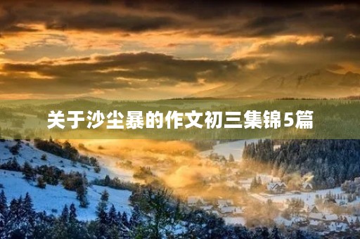 关于沙尘暴的作文初三集锦5篇