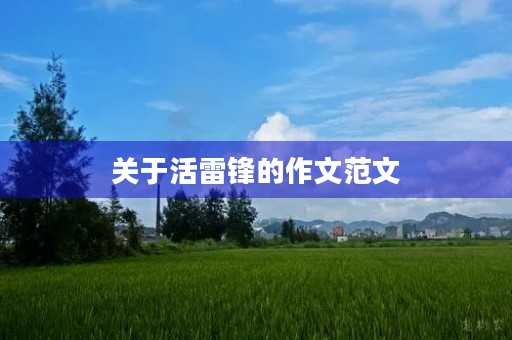 关于活雷锋的作文范文
