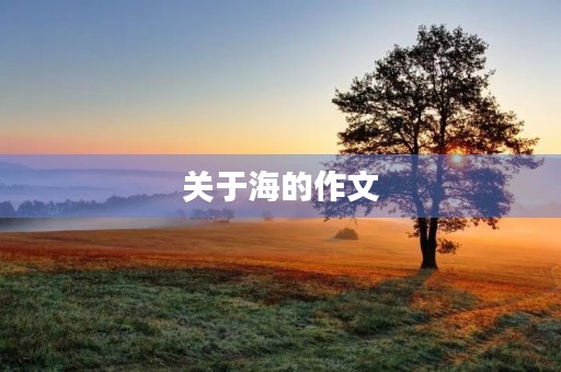 关于海的作文