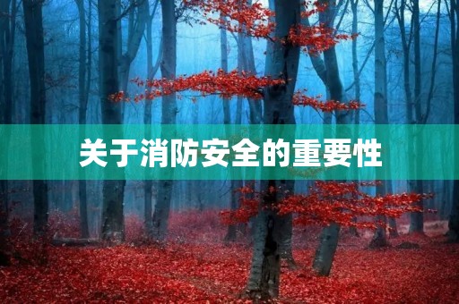 关于消防安全的重要性 关于消防安全的重要性