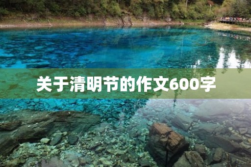 关于清明节的作文600字 关于清明节的作文600字