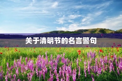 关于清明节的名言警句(关于清明节的名言警句10个字) 关于清明节的名言警句(关于清明节的名言警句10个字)