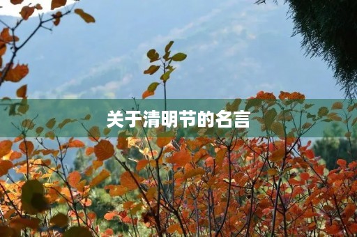 关于清明节的名言,关于清明节的名言警句有哪些 关于清明节的名言,关于清明节的名言警句有哪些