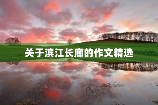 关于滨江长廊的作文精选