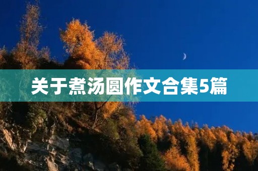 关于煮汤圆作文合集5篇