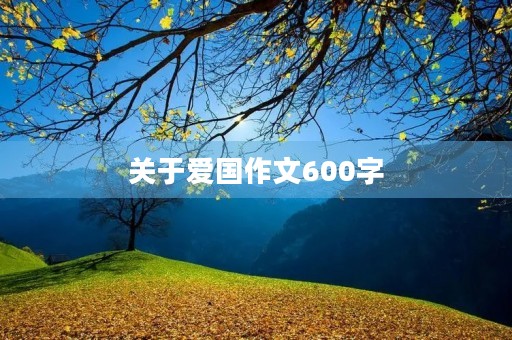 关于爱国作文600字 关于爱国作文600字