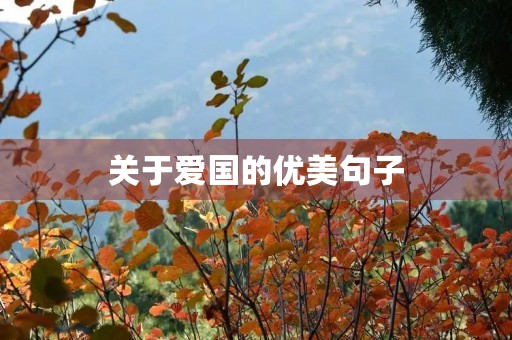 关于爱国的优美句子，关于爱国的优美句子50字