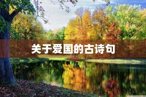 关于爱国的古诗句，关于爱国的古诗句和名言