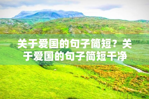 关于爱国的句子简短？关于爱国的句子简短干净