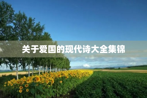 关于爱国的现代诗大全集锦