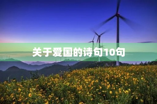 关于爱国的诗句10句，关于爱国的诗句10句及解释