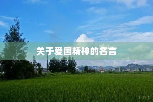 关于爱国精神的名言(关于爱国精神的名言警句有哪些) 关于爱国精神的名言(关于爱国精神的名言警句有哪些)